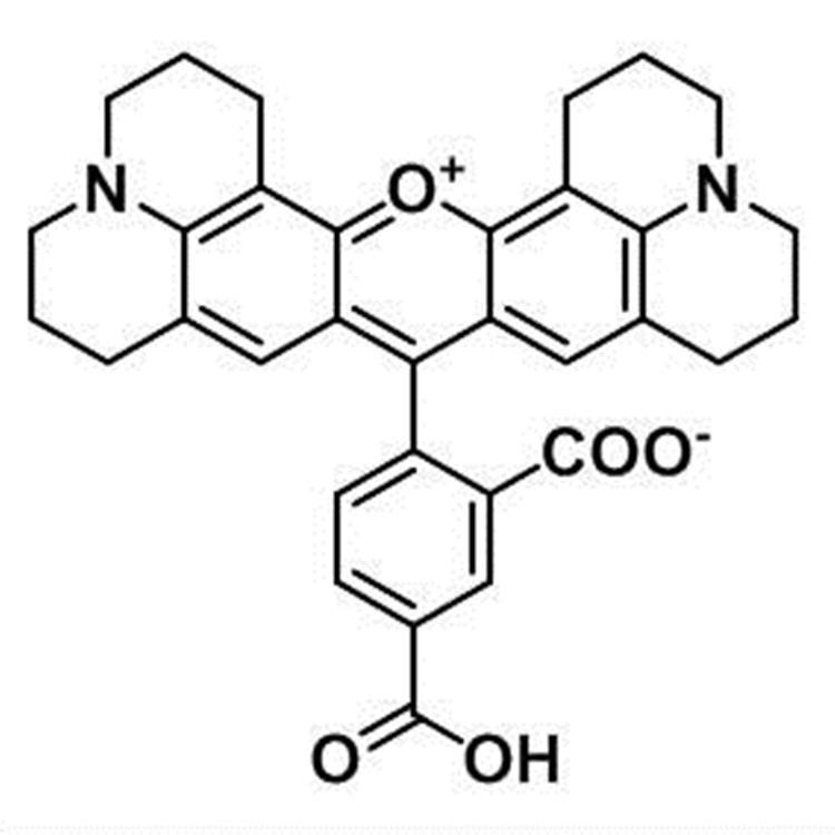 5-Carboxy-X-Rhodamine
